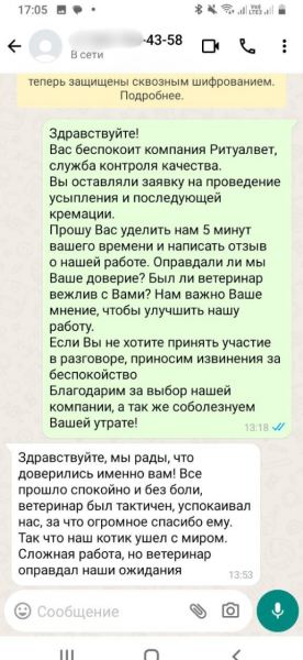 Отзыв 17